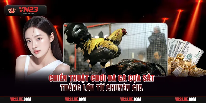 Chiến thuật chơi đá gà cựa sắt từ chuyên gia