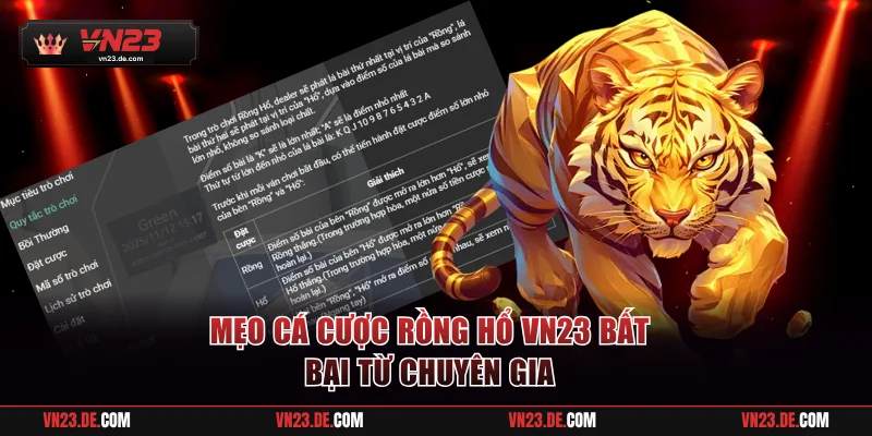 Mẹo cá cược Rồng Hổ VN23 bất bại từ chuyên gia