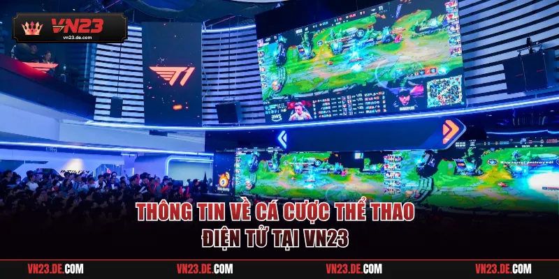 Thông tin về cá cược thể thao điện tử tại VN23