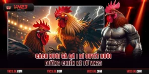 Cách Nuôi Gà Đá